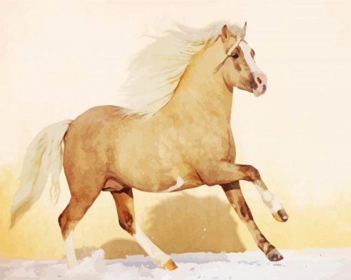 Beige Welsh Pony Paint By Numbers