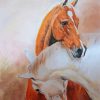 Couple Horses Art Paint By Numbers