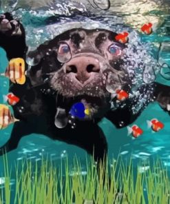 Dog Swimming With Fish Paint By Number