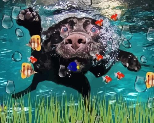 Dog Swimming With Fish Paint By Number