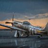 P51 Mustang Under Rain Art Paint By Number