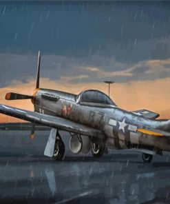 P51 Mustang Under Rain Art Paint By Number