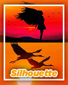 SILHOUETTE