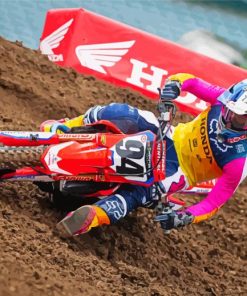 The Racer Ken Roczen Paint By Number