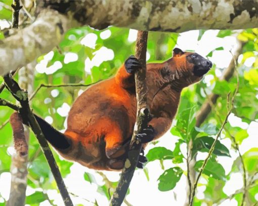 Tree kangaroo Paint By Number