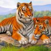 Tiger Couple Animals Paint By Number