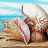 Beautiful Beach Shells Art Paint By Numbers