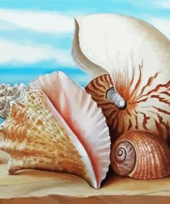 Beautiful Beach Shells Art Paint By Numbers