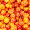 Cloudberries Food Paint By Numbers