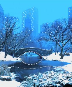 Night Winter Central Park Art Paint By Number