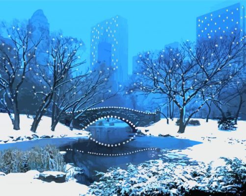 Night Winter Central Park Art Paint By Number