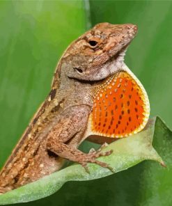 Anole Lizard Scaled Paint By Numbers