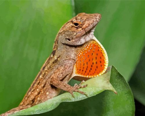 Anole Lizard Scaled Paint By Numbers