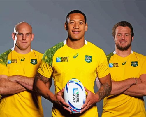 Aust Rugby Team Paint By Numbers