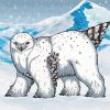 Baby Owl Bear In Snow Paint By Numbers