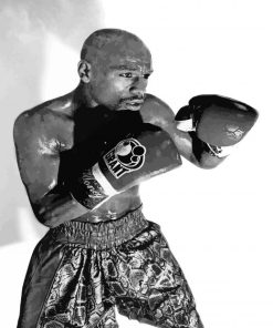 Black And White Floyd Mayweather Paint By Numbers