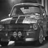 Black And White Grey Shelby Mustang Paint By Numbers