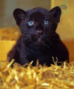 Black Jaguar Paint By Numbers