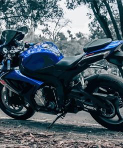 Blue Suzuki Gsxr Motorcycle Paint By Numbers