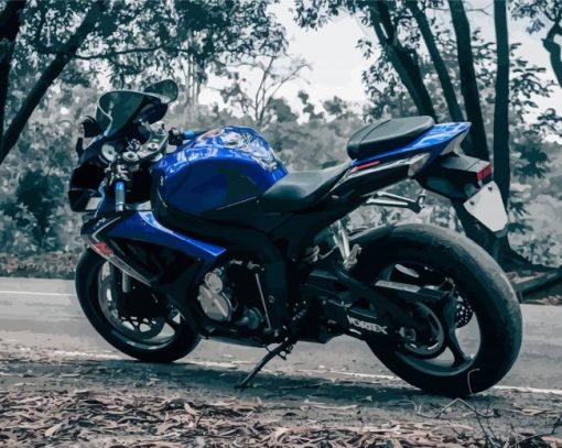 Blue Suzuki Gsxr Motorcycle Paint By Numbers