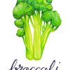 Broccoli Paint By Numbers