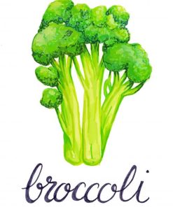 Broccoli Paint By Numbers