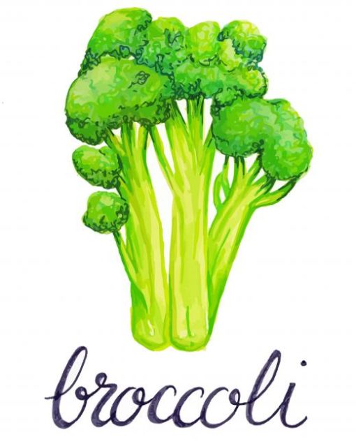 Broccoli Paint By Numbers