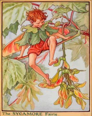 Cicely Mary Barker The Sycamore Fairy Paint By Numbers