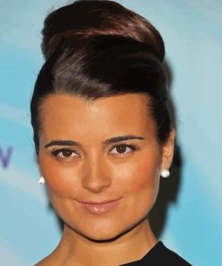 Cote De Pablo Paint By Numbers