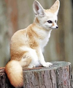 Cute Fennec Fox Paint By Numbers