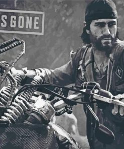 Days Gone Game Poster Paint By Numbers