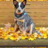 Dog On Autumn Bench Paint By Numbers