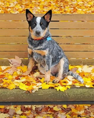 Dog On Autumn Bench Paint By Numbers