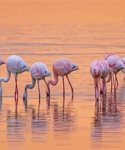 Flamingos Birds In Lake Nakuru Paint By Numbers