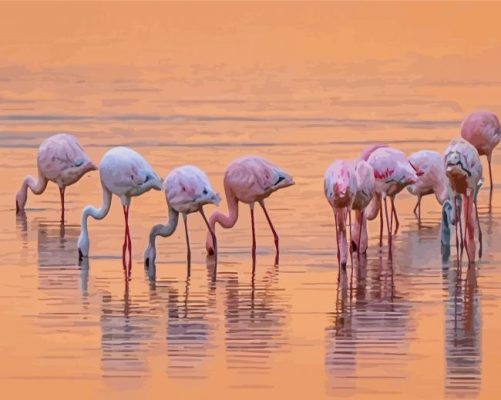 Flamingos Birds In Lake Nakuru Paint By Numbers