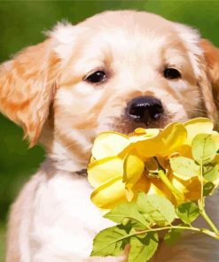 Golden Puppy With Yellow Flower Paint By Numbers