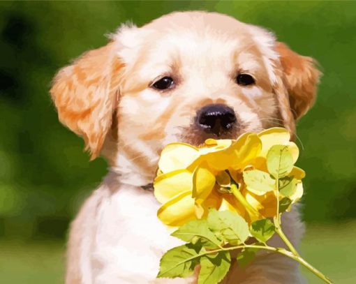 Golden Puppy With Yellow Flower Paint By Numbers