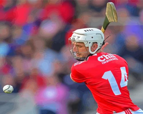 Hurling Irish Sport Paint By Numbers