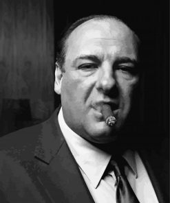 James Gandolfini Smoking Paint By Numbers