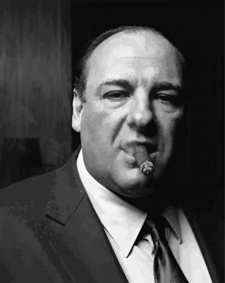 James Gandolfini Smoking Paint By Numbers