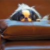 Japanese Chin Animal Paint By Numbers