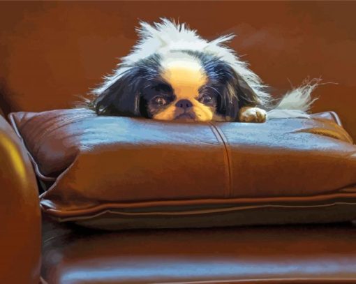 Japanese Chin Animal Paint By Numbers