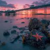 Llandudno Pier With Pink Sunset View Paint By Numbers