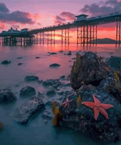 Llandudno Pier With Pink Sunset View Paint By Numbers