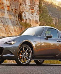 Mazda Miata Car Engine Paint By Numbers