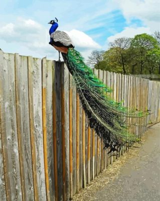 Peacock On A Fence Paint By Numbers