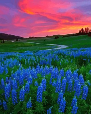 Pink Sunset At Texas Bluebonnets Field Paint By Numbers