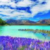 Purple Flowers By Lake Tekapo Paint By Numbers