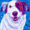 Red And White Border Collie Dog Art Paint By Numbers