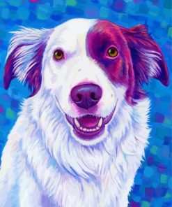 Red And White Border Collie Dog Art Paint By Numbers